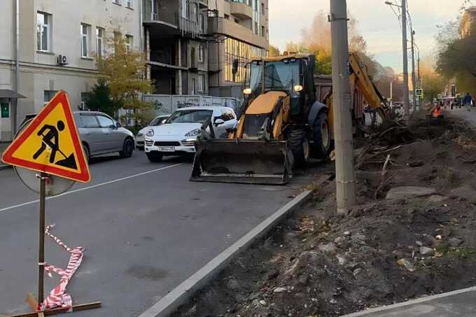 Скандал с Гижицкой: новосибирцев тревожит вырубка деревьев