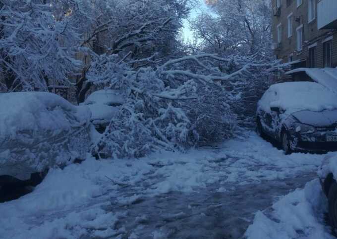 В Ростовской области 30 тысяч человек остались без электричества из-за снегопада